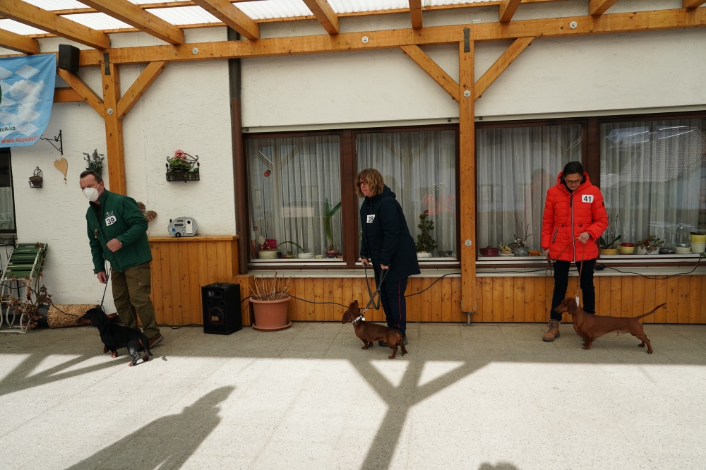 s_A9_09861.jpg